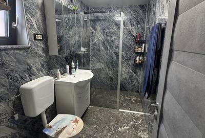 Casă cu 2 camere în Mintia - 2