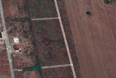 Teren Construcții extravilan de 642 mp, în Săcălaz - 2