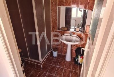 Casa cu spatiu comercial de vanzare in Sebes zona centrala - 13