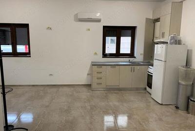 2 camere parter dumbravita investitie - 1