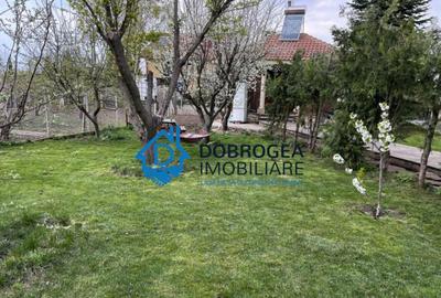 Vila Mineri, D+P+1, teren 1600 mp - 13