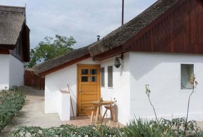 Delta Dunarii, Romania, localitatea LETEA, proprietate de VIS, - 8