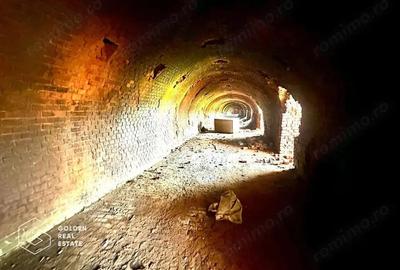 Teren intravilan 71.000mp, Barsa, Renumita Fabrica de caramida si casa 4 camere - 4