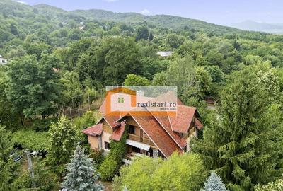 Vedere directa la Padure, 9000mp teren, Vila D+P+1E+M, se...