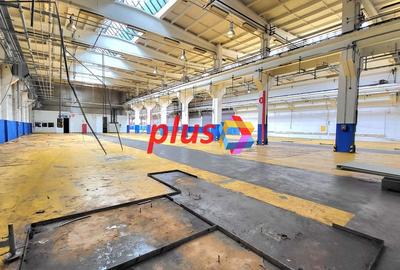Spatiu industrial - 1800 mp  # plus-imo.ro - 5