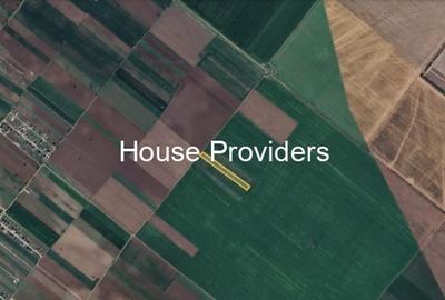 Vânzare teren extravilan 7500 mp, Berceni, Ilfov Vânzare teren extravilan 7500 mp, Berceni, Ilfov - 3