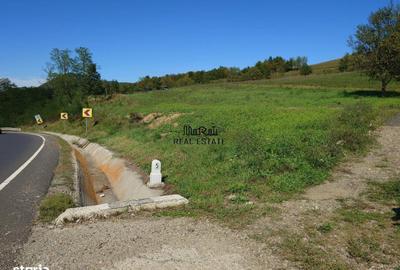 Spațiu comercial, în Luncoiu de Sus - 5