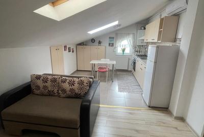 Apartament cu 2 camere semidecomandat, mobilat în Coșbuc - 17