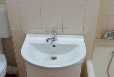 Parcul Kiseleff, Dr. Iacob Felix, Banu Manta, Victoriei, studio - 5