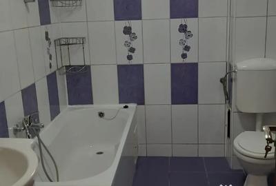 Apartament cu 2 camere decomandat în Turnișor - 10