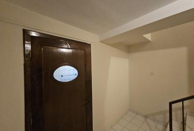Casă individuală mare, deosebită, D+P+M, Timișoara, Braytim, comision 0% - 19