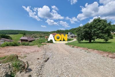 De vânzare teren intravilan 1000mp zona Seigau - 4