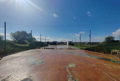 Teren de 5000 mp, în Gagu - 2