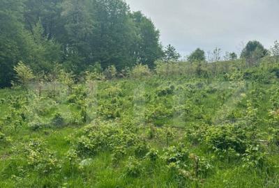 Teren de 3300 mp, în Central