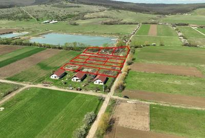 RECO , teren intravilan, Ineu,Bihor - 1