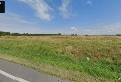 Teren 5 hectare la E68 loca?ie excelenta Arad - 2