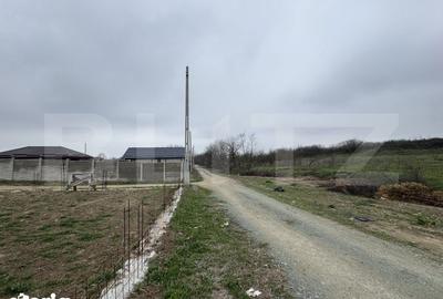 Teren de 800 mp, în Malu Mare - 4