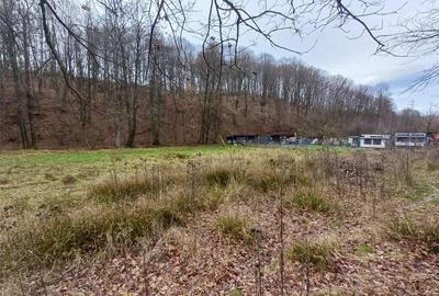 Teren de 4500 mp, în Govândari - 4