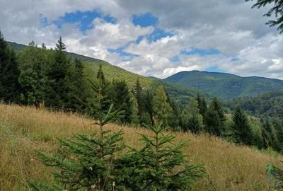 Spațiu comercial, în Câmpu lui Neag - 3