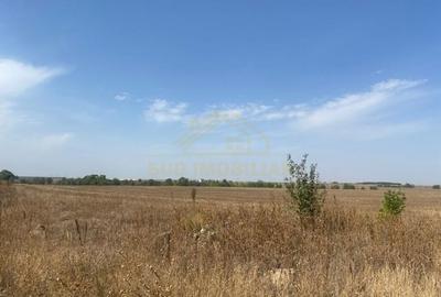 Teren Construcții intravilan de 10406 mp, în Central