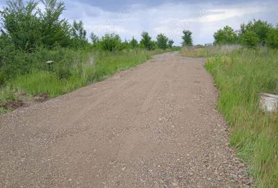 Casă cu 3 camere în Dumbrăvița