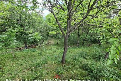 Casă cu 3 camere cu Teren 3073 Mp în Telega - 5