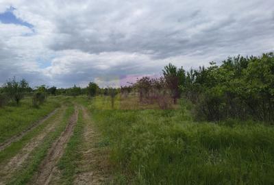 Teren Construcții intravilan de 3750 mp, în Giulești - 23