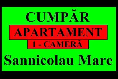 Garsonieră decomandată în Sânnicolau Mare - 5