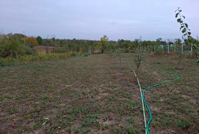 Casă individuală cu 2 camere cu Teren 2600 Mp în Crâmpoia - 13