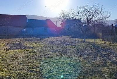 Teren de 800 mp, în Dumbrava - 4
