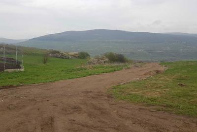 Teren de 3750 mp, în Rădaia - 4