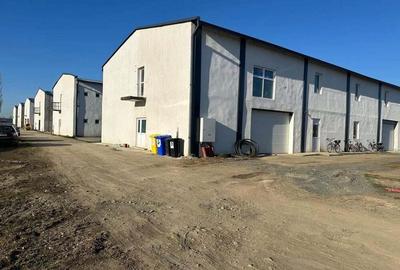 Inchiriere Hale Industriale in Aluni?, Arad 250 mp-1.500 mp - 3