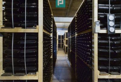 Casă individuală cu 6 camere cu Canalizare în Miniș - 17