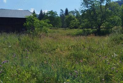 Casă cu 3 camere în Vadu Oii - 4