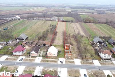 Casă cu 3 camere decomandat cu Teren 4748 Mp în Pomi - 18