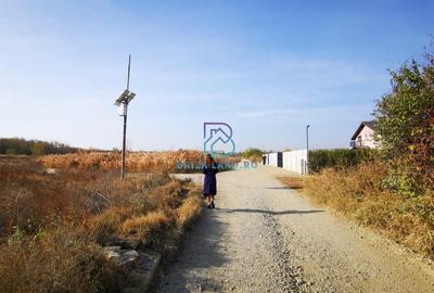 Domnesti, Teghes, teren la padure, str. Argesului, sup. 5000mp, d=40m - 3