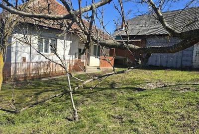 Casă cu Teren 33 Mp în Central