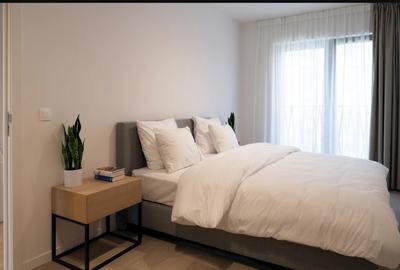 Garsonieră în Sânmihaiu Român - 1