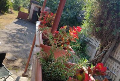 Casă cu 3 camere în Cantemir - 1
