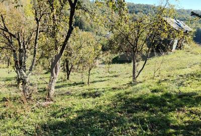 Teren cu priveli?te superba , livada ?i poten?ial casu? - 9