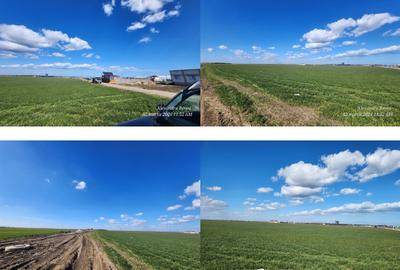 Teren intravilan de 2375 mp, în Palas - 1