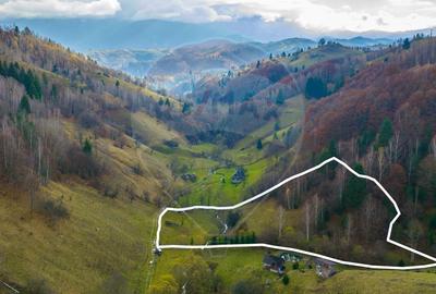 COMISION 0% Teren 8013mp Moieciu de Jos / Strada Valea cu Calea - 6