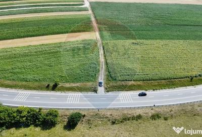 Teren de 3500 mp, în Ilișești - 13