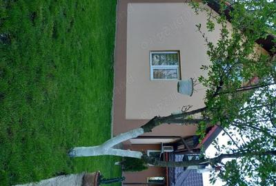 Casă cu 4 camere cu Teren 580 Mp în Plumbuita - 6