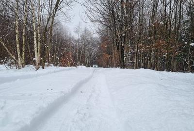 Teren de 2200 mp, în Calea Poplăcii - 3
