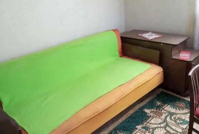 Vand casa cu gradina - 6