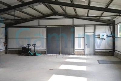 Spațiu industrial, de 170 mp, în Grădinari - 1