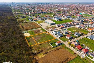 Spațiu comercial, în Dumbrăvița - 7