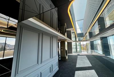 AVIATORILOR | PROPRIETATE SPECTACULOASA ALEEA ALEXANDRU - 4