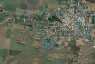 Teren intravilan Caracal / Str. Salcamului, 3.585 mp, 9 EUR / mp, comision 0% - 2